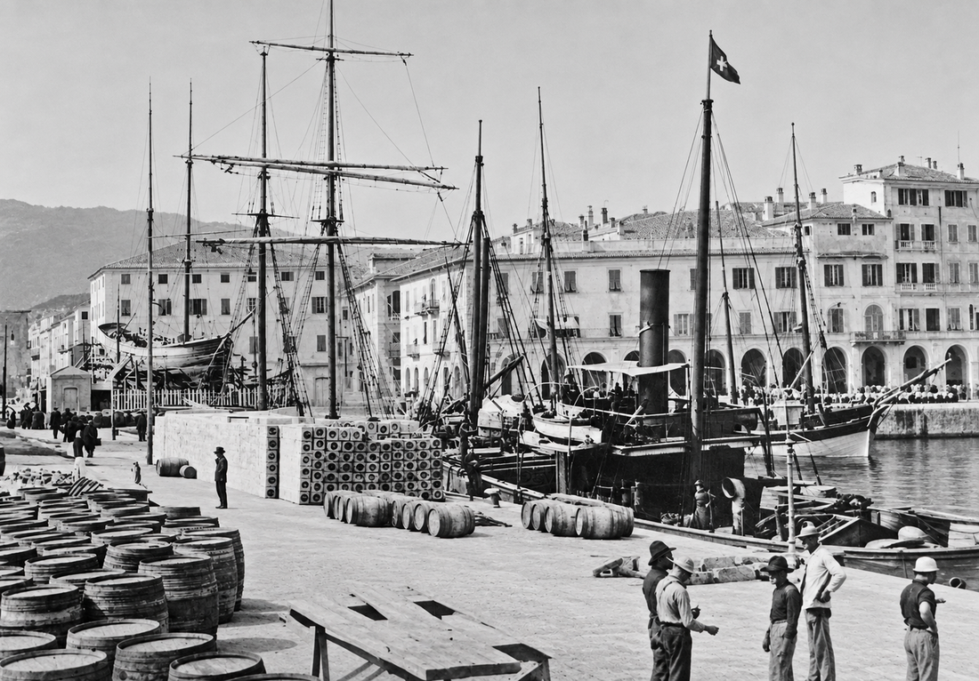 Storia dell’olio a Imperia: Oneglia, Porto Maurizio e una città cresciuta intorno all’olio